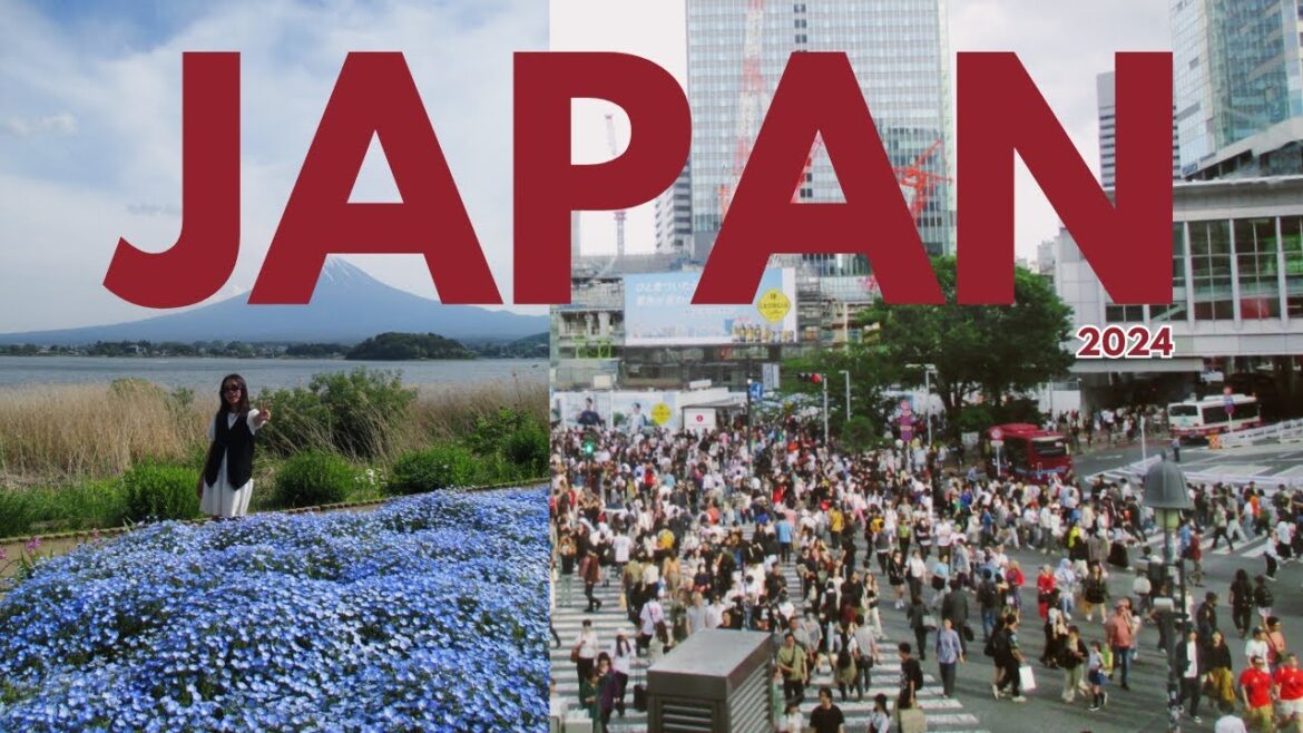 Japan Vlog | Tokyo, Osaka, Kyoto, Nara, Yamanashi