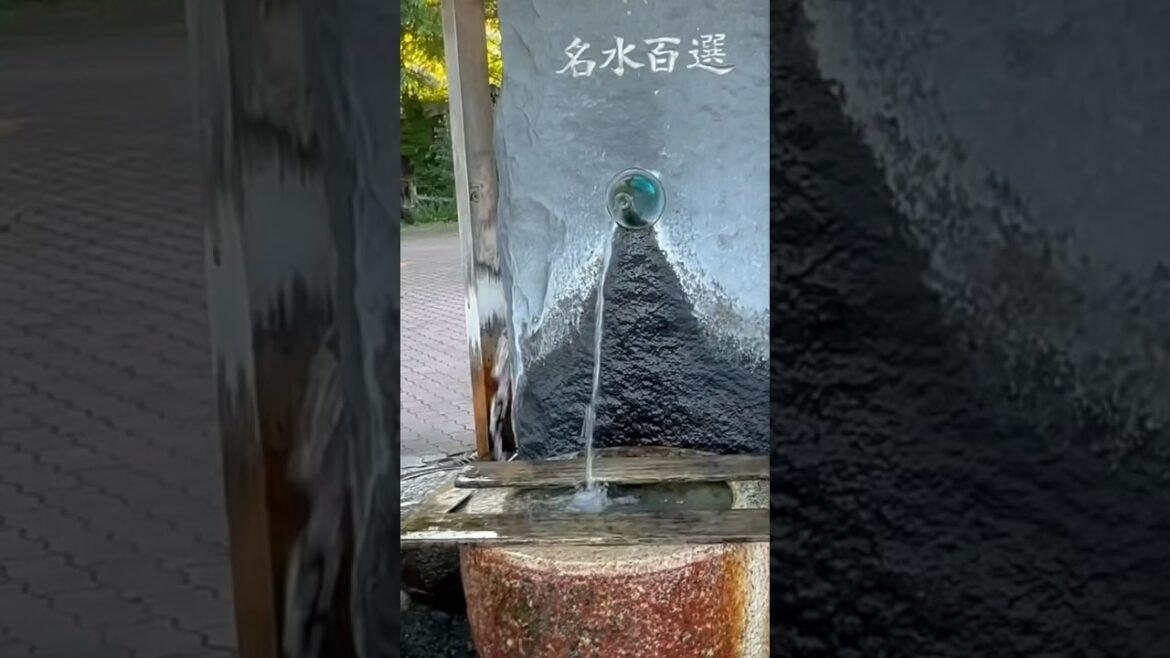 Azumino is a beautiful place!            安曇野〜わさび農園〜 #長野県 #travel Azumino is a beautiful place!            安曇野〜わさび農園〜 #長野県 #travel