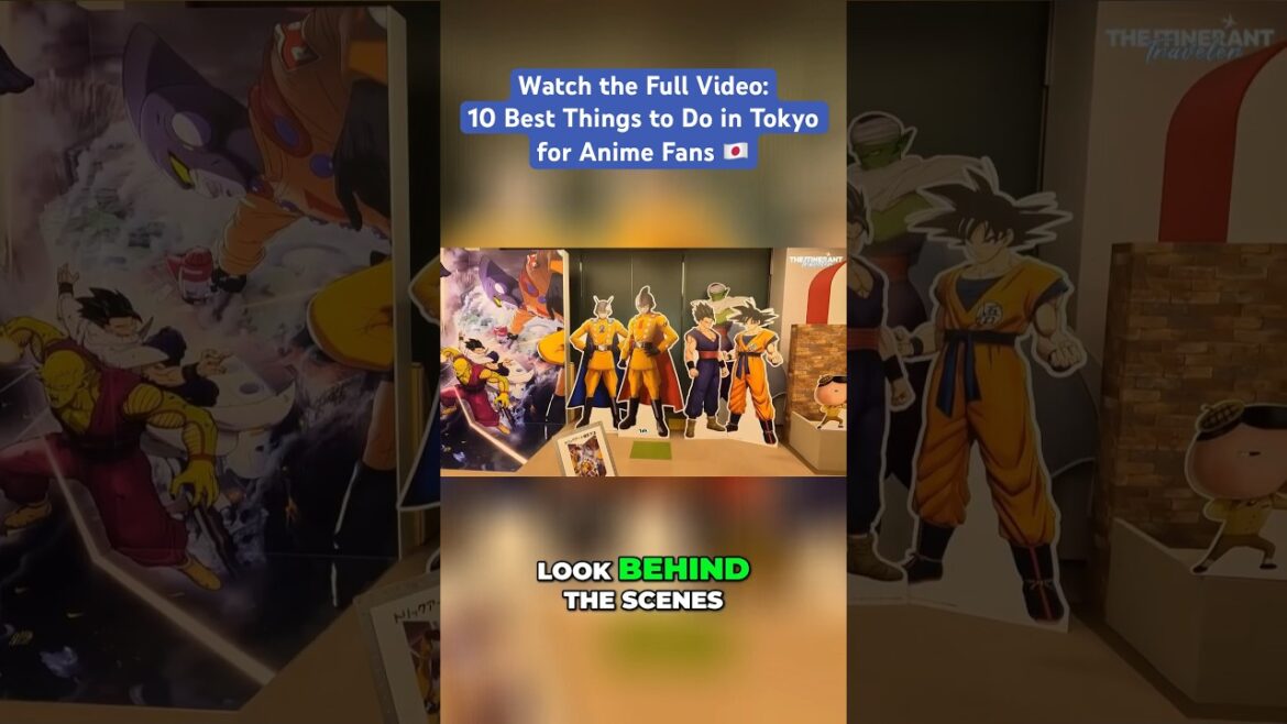 🇯🇵 Discover the Enchanting World of Toei Animation at the Museum! | Anime Things to Do 🇯🇵 Discover the Enchanting World of Toei Animation at the Museum! | Anime Things to Do