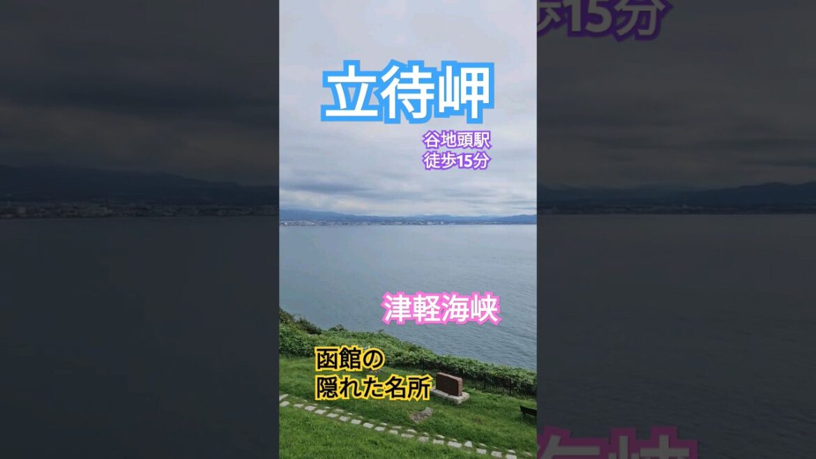 誰も行かない❤️函館の名所紹介🐱#谷地頭#立待岬#韓国#絶景#屁圧#일본여행 #홋카이도 #하코다테