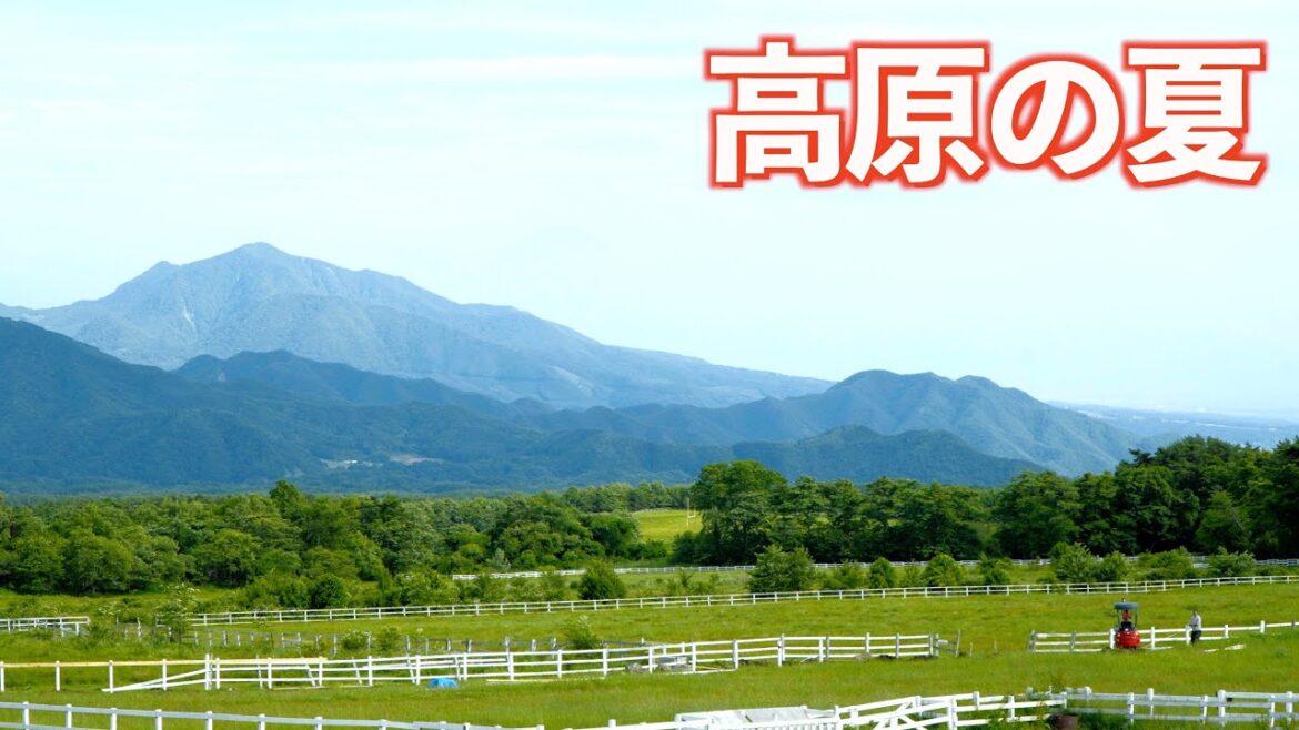 優雅に乗馬を見ながらイタリアンはいかが？!!｜北杜市｜Litheli｜ドライブ｜田舎暮らし｜山梨県｜4K