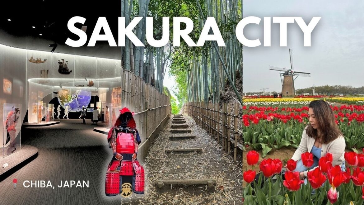 Tokyo Day Trip Itinerary | tulip fields, bamboo forest, samurai houses & Japanese history 🇯🇵 Tokyo Day Trip Itinerary | tulip fields, bamboo forest, samurai houses & Japanese history 🇯🇵