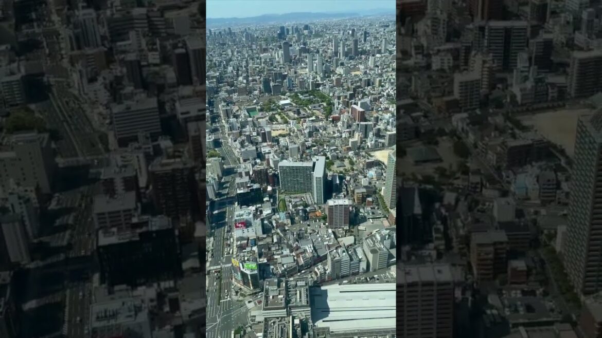 Views of Osaka Observation Decks | Abeno Harukas | Umeda Sky | Japan #shorts #osaka #japan Views of Osaka Observation Decks | Abeno Harukas | Umeda Sky | Japan #shorts #osaka #japan