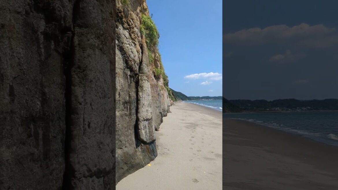 Walking the wall | #beachcombing #shorts