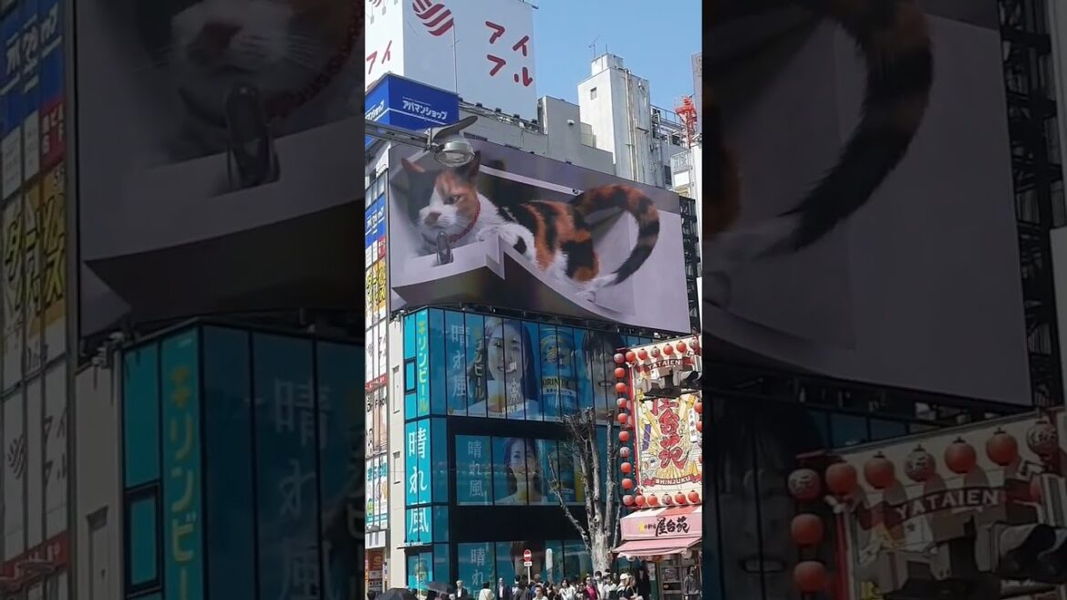 Japan Tokiyo Shinjuku #shorts#viral#vieos