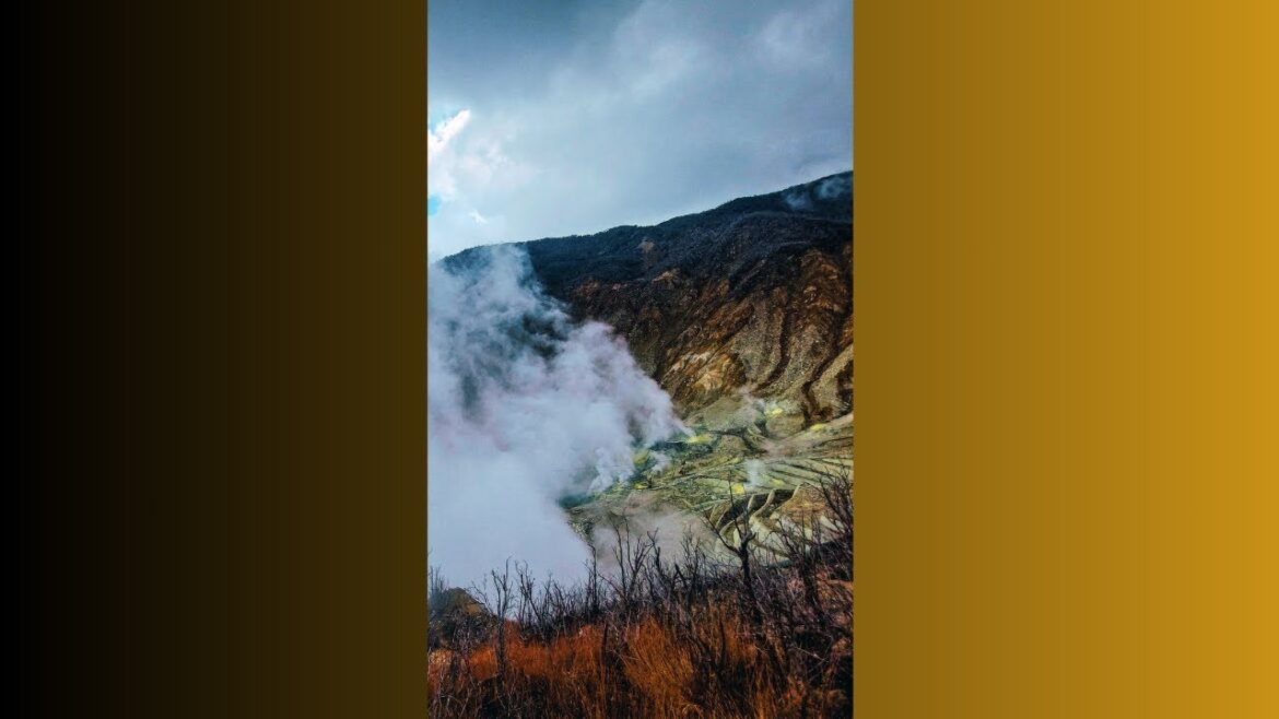 Discover Hakone’s Top Attractions! 🚡🌸 #JapanTravel #hakone Discover Hakone’s Top Attractions! 🚡🌸 #JapanTravel #hakone