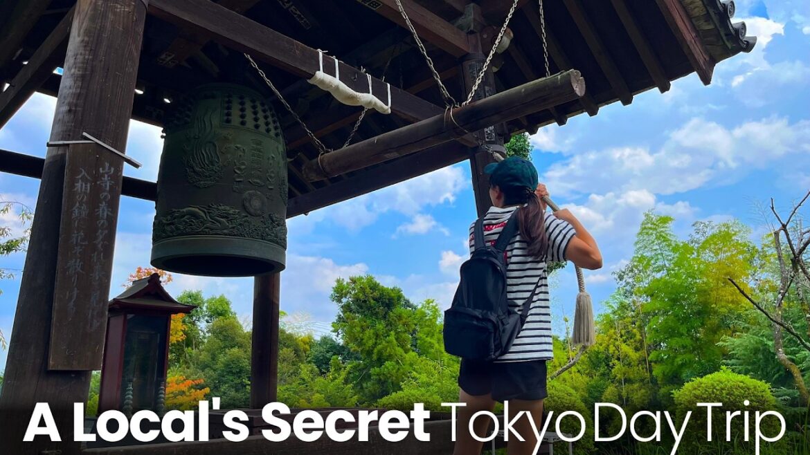 A Local’s Secret Tokyo Day Trip: Explore a Hidden Lake and Timeless Temple A Local's Secret Tokyo Day Trip: Explore a Hidden Lake and Timeless Temple