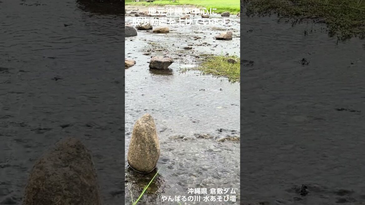 子供も大人も楽しめる！沖縄県うるま市倉敷ダムの涼やか川遊び