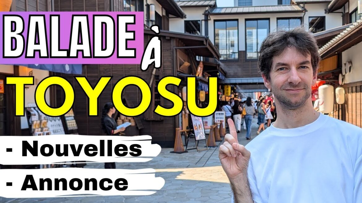 🇯🇵 Découverte de Toyosu Senkyaku Banrai - Des nouvelles et une annonce ^^