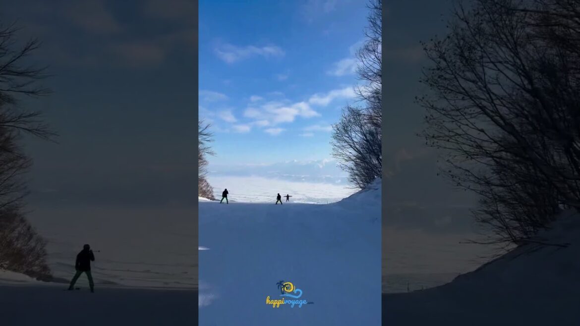 From Zero to Ski Hero: Transform Your Skills at Furano! 🏅⛷️