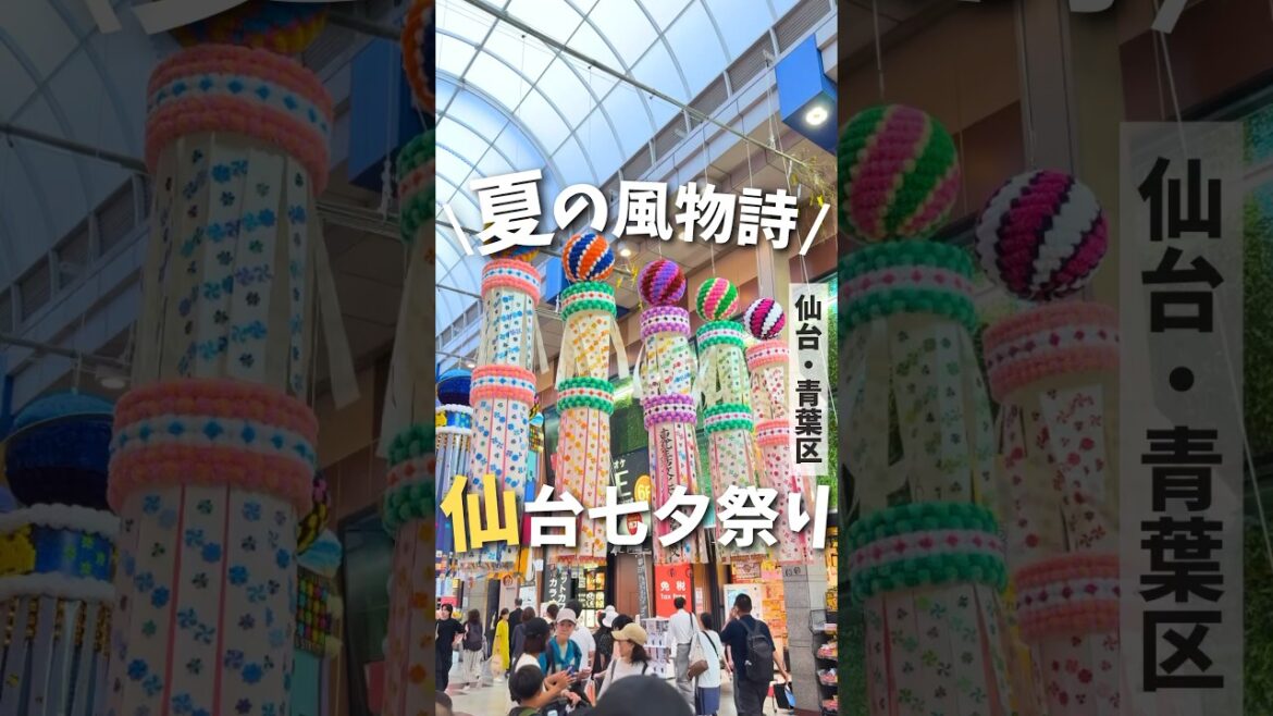 【仙台祭り】一生に一度は行きたい400年以上続く伝統祭り🎋🏮#仙台 #宮城 #仙台観光 #宮城観光 #仙台旅行 #宮城旅行 #仙台七夕祭り #七夕祭り #夏祭り #shorts #short