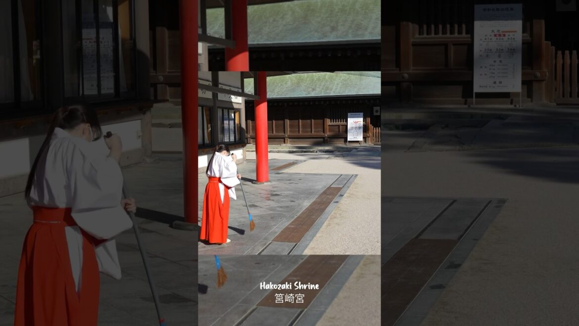 Is this the best shrine in Japan? Hakozaki Shrine!