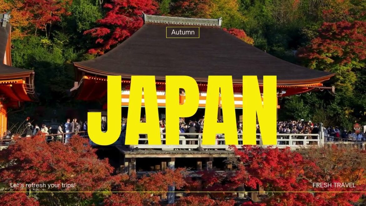 Chạm vào sự lãng mạn của mùa thu Nhật Bản #nhatban #dulichnhatban #tournhatban #freshtravel