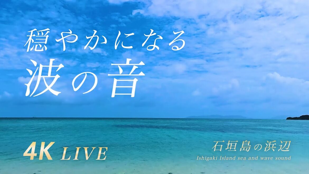 【石垣島の自然環境音】石垣島の海の穏やかな波の音 水の音 | 睡眠 瞑想 勉強 作業用 BGM | リラックス ヒーリング 自然音 Nature Sounds ASMR 【4K 動画】
