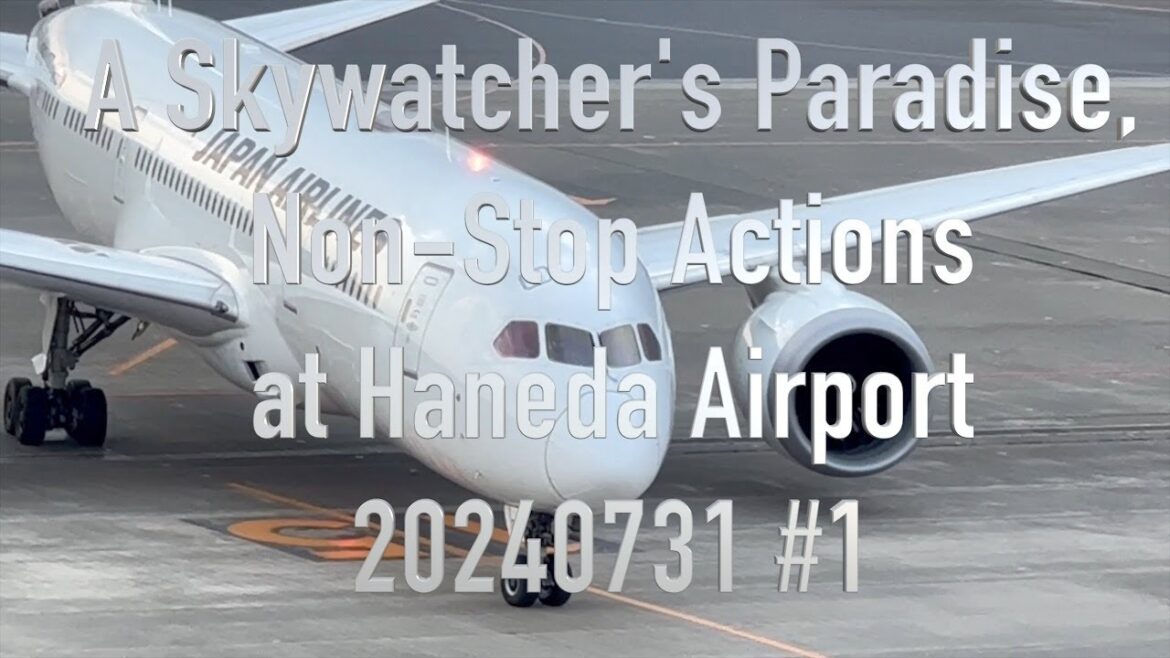 A Skywatcher's Paradise, Non-Stop Actions at Haneda Airport 20240731 #1 #japan #tokyo #haneda #love