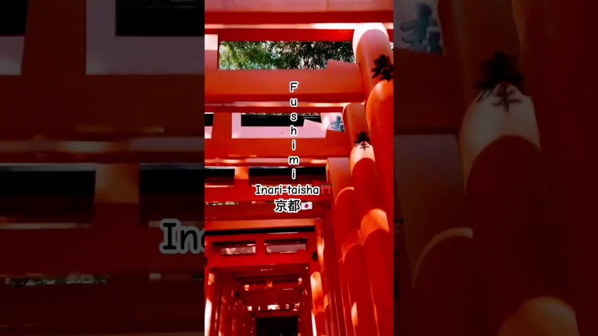 Fushimi Inari-taisha Shrine⛩️|京都 #shorts #kyoto #travel #京都🇯🇵