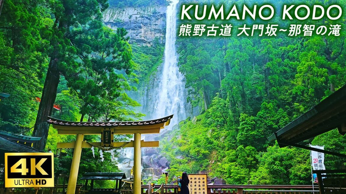 【4K Japan Walk】Kumano Kodo you can feel the mysterious atmosphere from Daimonzaka to Nachi Falls