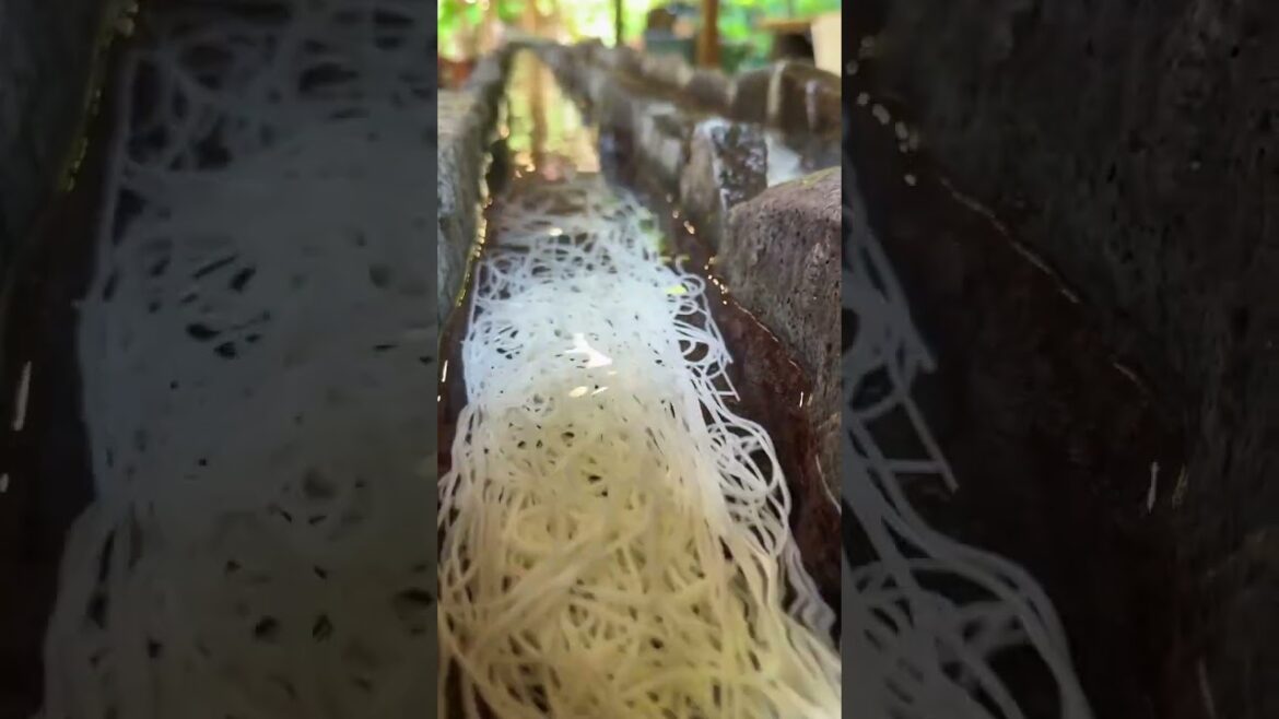 #Japan Impression# Japanese Flowing Soup Noodles If you are too slow, you will miss it #Soup Noodles