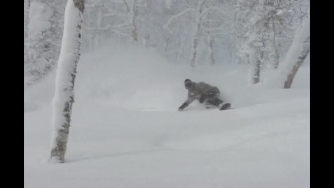 Neil Hartmann Archive Film (Tweets #2 featuring music by Ken Ishi 2010)