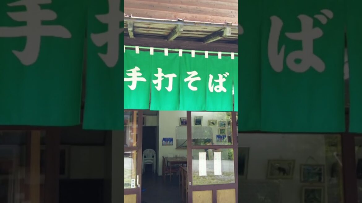 【白樺食堂 長野市】戸隠キャンプ場の中にあるリゾート感いっぱいの昔ながらの蕎麦屋さん