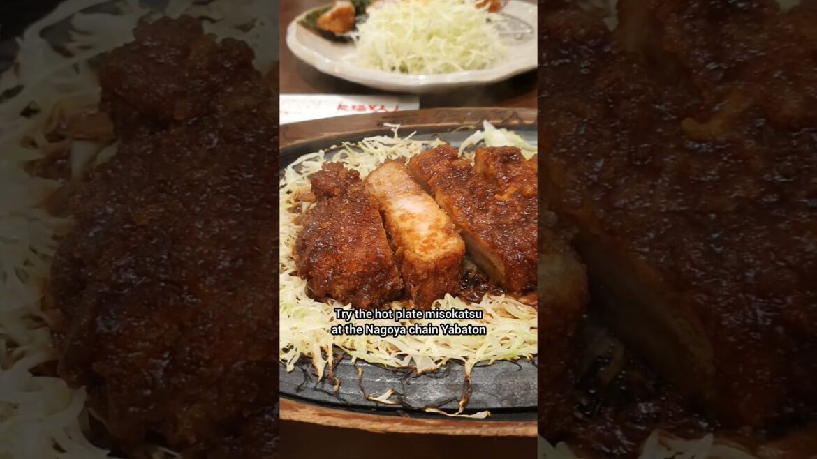 Unique haccho miso dishes from Nagoya, Japan