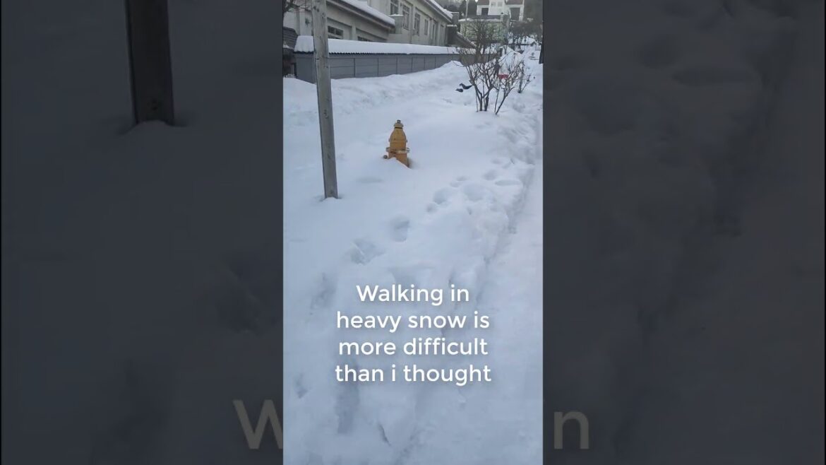 Travel Hakodate | Looking for snow in Japan’s Winter? | Look no more plenty here in Hakodate Travel Hakodate | Looking for snow in Japan's Winter? | Look no more plenty here in Hakodate