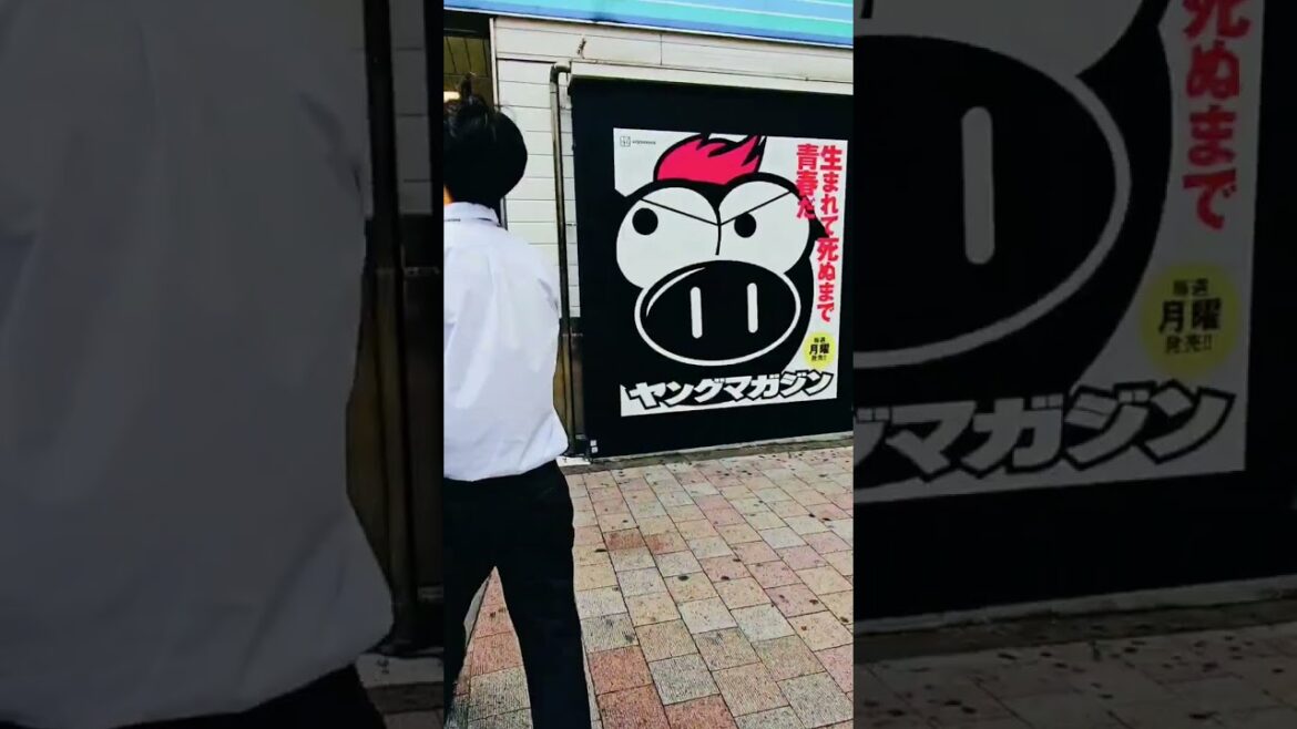 Beautiful Country Japan #shorts#viral#videos#Japan