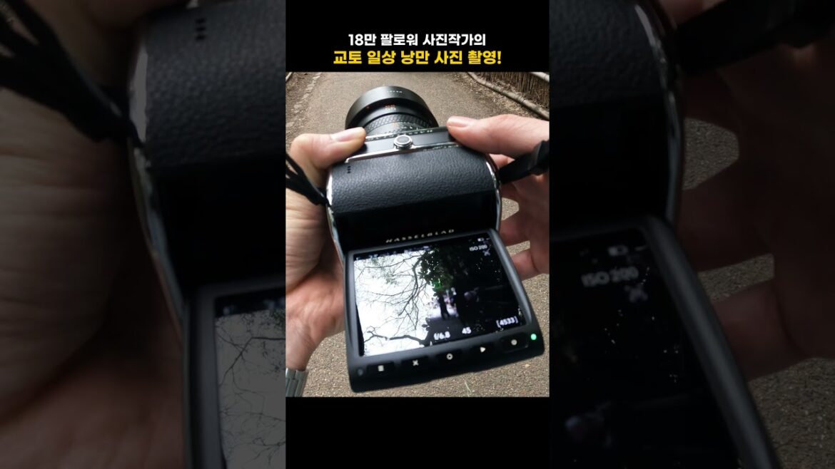 교토의 일상 속 낭만 다 촬영했습니다..