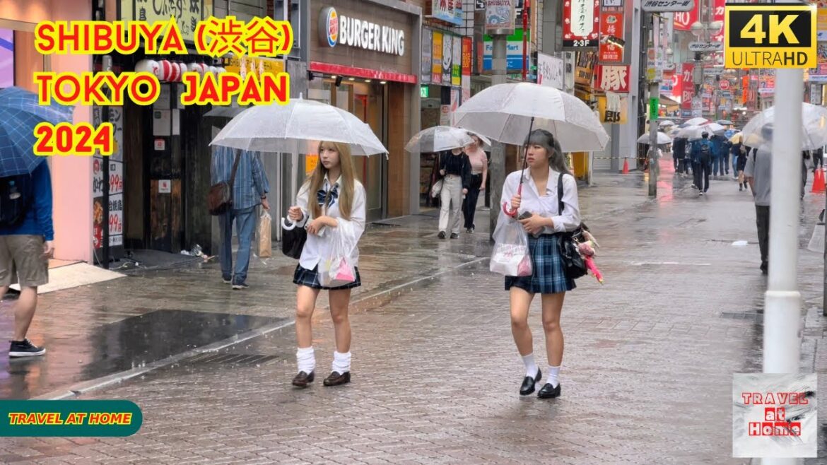 【4k hdr】 3 Hours Rainy day Walk in Shibuya (渋谷) Tokyo Japan | Relaxing Natural City ambience 【4k hdr】 3 Hours Rainy day Walk in Shibuya (渋谷) Tokyo Japan | Relaxing Natural City ambience