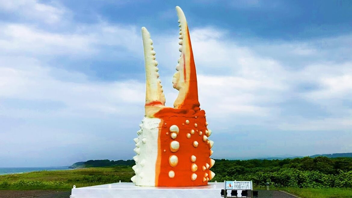 🥷Adventure in Japan: Discovering the Giant Crab Claw🦀 & Surviving -20°C in Hokkaido!😎