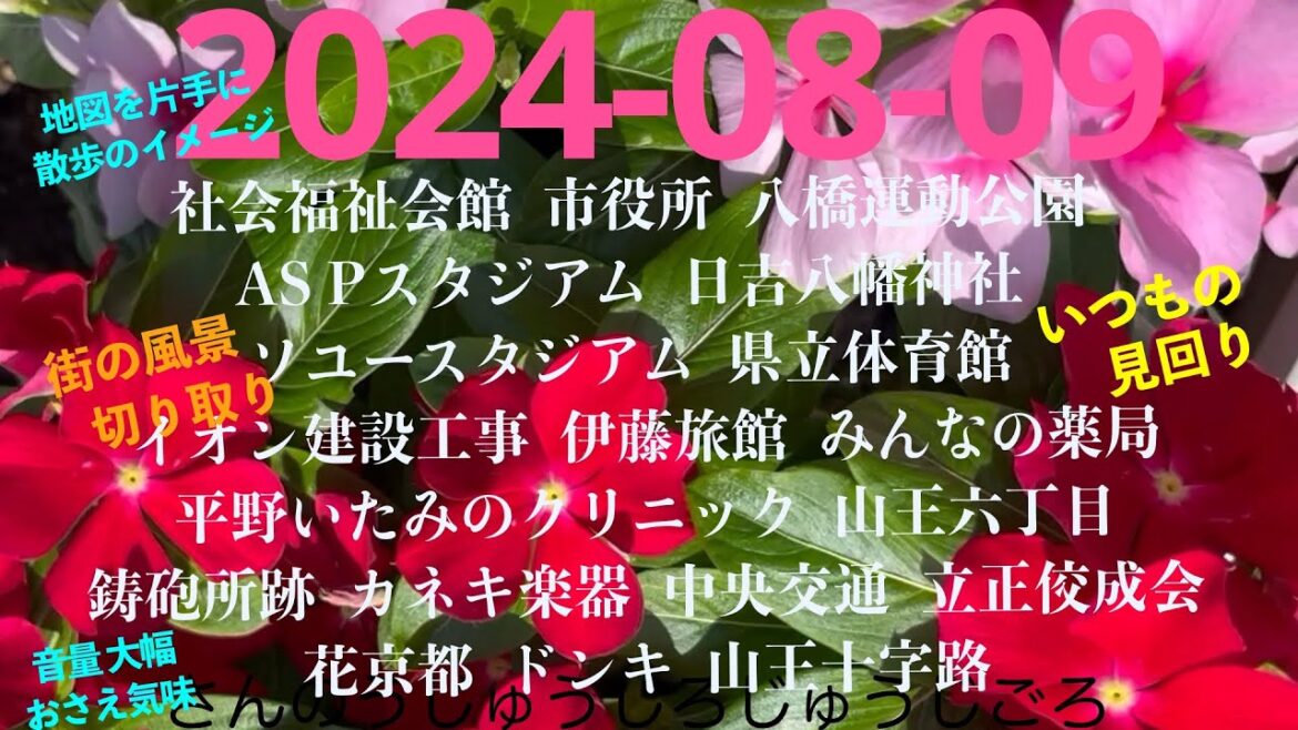 2024-08-09さんのうじゅうじろじゅうじごろ