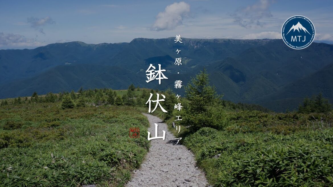 鉢伏山｜美ヶ原・霧ヶ峰エリア【登山・ハイキング・日帰り・車・2024年8月1日】長野県　美ヶ原高原ロングトレイル