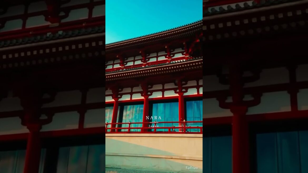 Destination - Japan, Nara #travelphotooftheday #travel #traveldestinations #traveldestination #japan