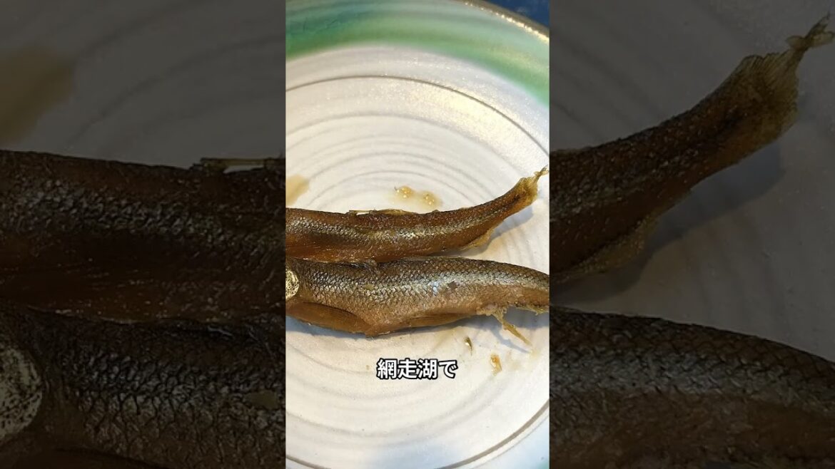 【旅行】網走市1日観光プラン!(北海道) #網走監獄 #ザンギ #流氷 #おーろら 【旅行】網走市1日観光プラン!(北海道) #網走監獄 #ザンギ #流氷 #おーろら