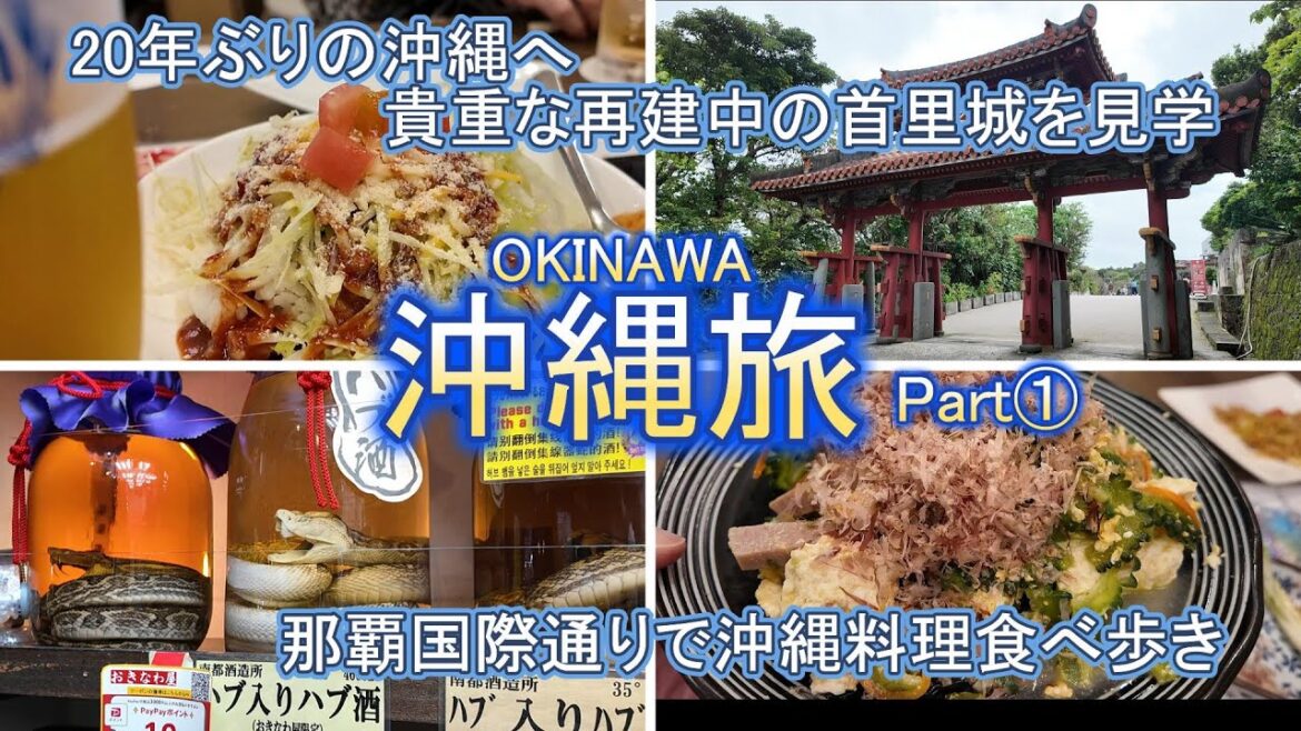 【沖縄①】2024年5月25日～28日　3泊4日　初日～2日目　20年ぶりの沖縄旅　家族7人　再建中の首里城を見学　那覇国際通りで沖縄料理食べ歩き【Vlog】