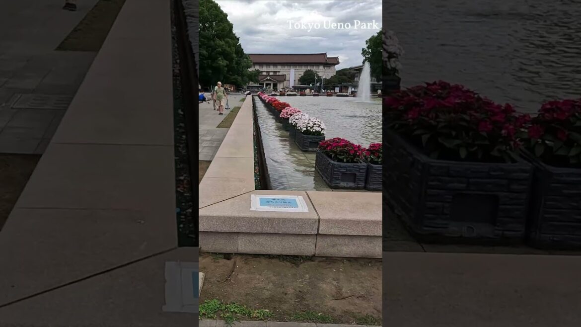 Tokyo Walk. Ueno: Tokyo’s Historic Park and Market in Japan. #travel #travelvlog