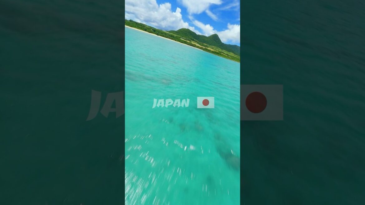 Ishigaki Island,Japan #shorts #nature #travel