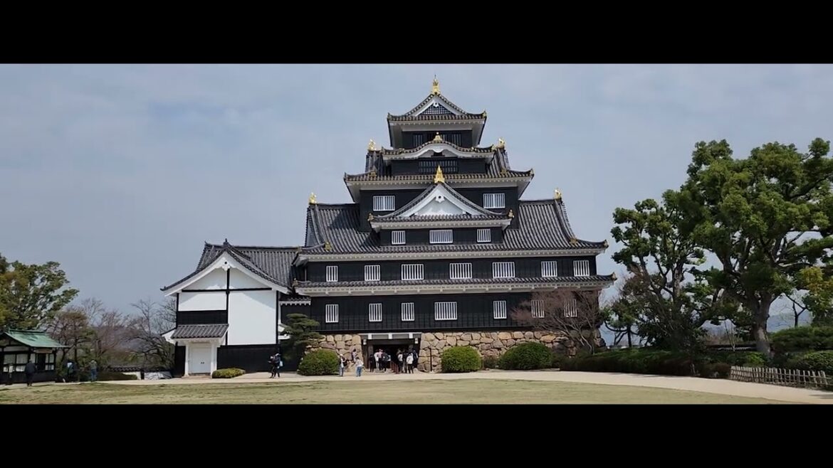 Okayama Castle 2024