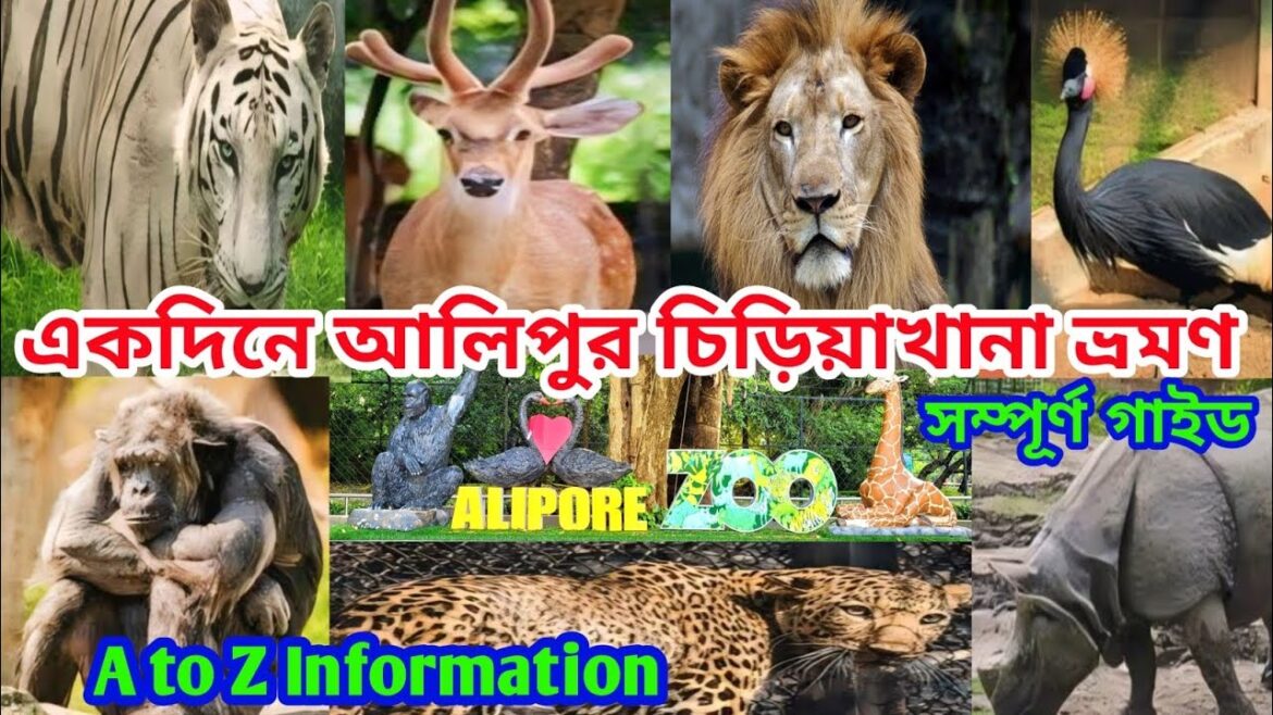 আলিপুর চিড়িয়াখানা ২০২৪ | Kolkata Alipur zoo | alipur zoo ticket price 2024 | kolkata chiriyakhana আলিপুর চিড়িয়াখানা ২০২৪ | Kolkata Alipur zoo | alipur zoo ticket price 2024 | kolkata chiriyakhana