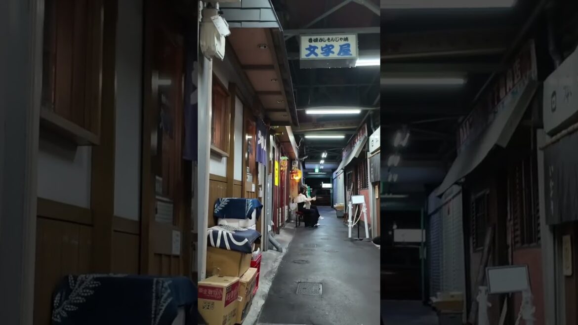 札幌 狸小路市場 / Sapporo Tanukikoji Ichiba🇯🇵