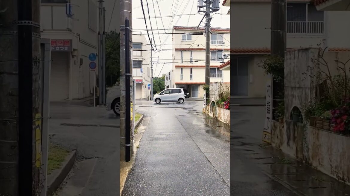 Walk in the rain #okinawa