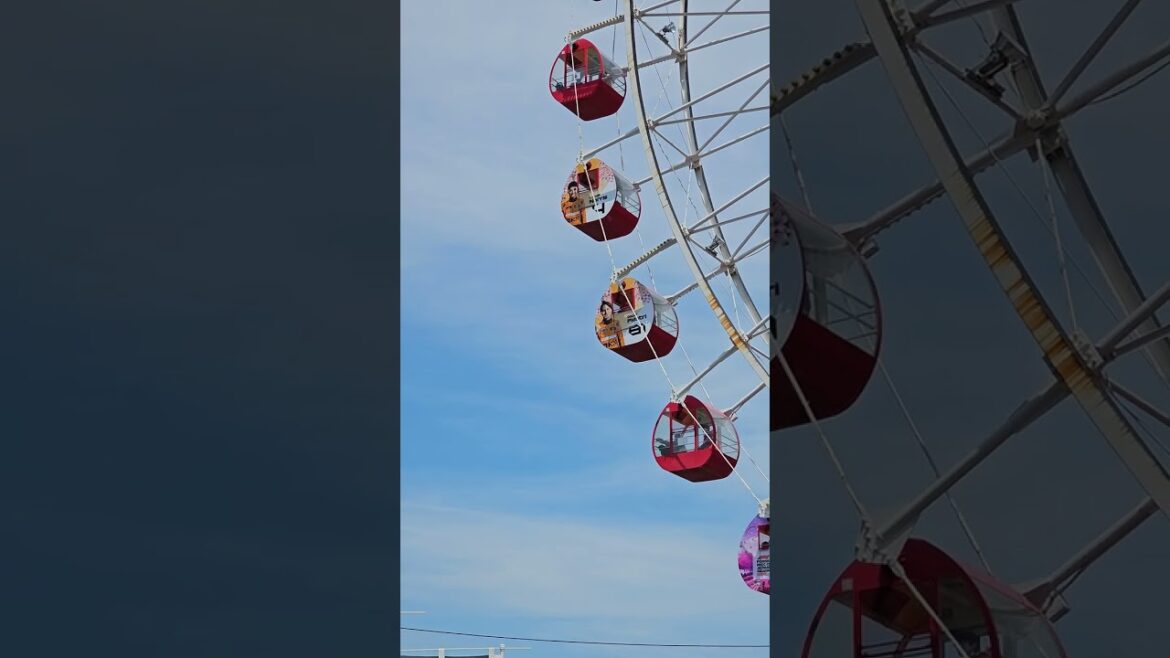 Japan Grandprix Suzuka Circuit McLaren Piastri Ferris wheel(F1 일본 그랑프리 스즈카서킷 피아스트리/鈴鹿サーキットピアストリ観覧車)