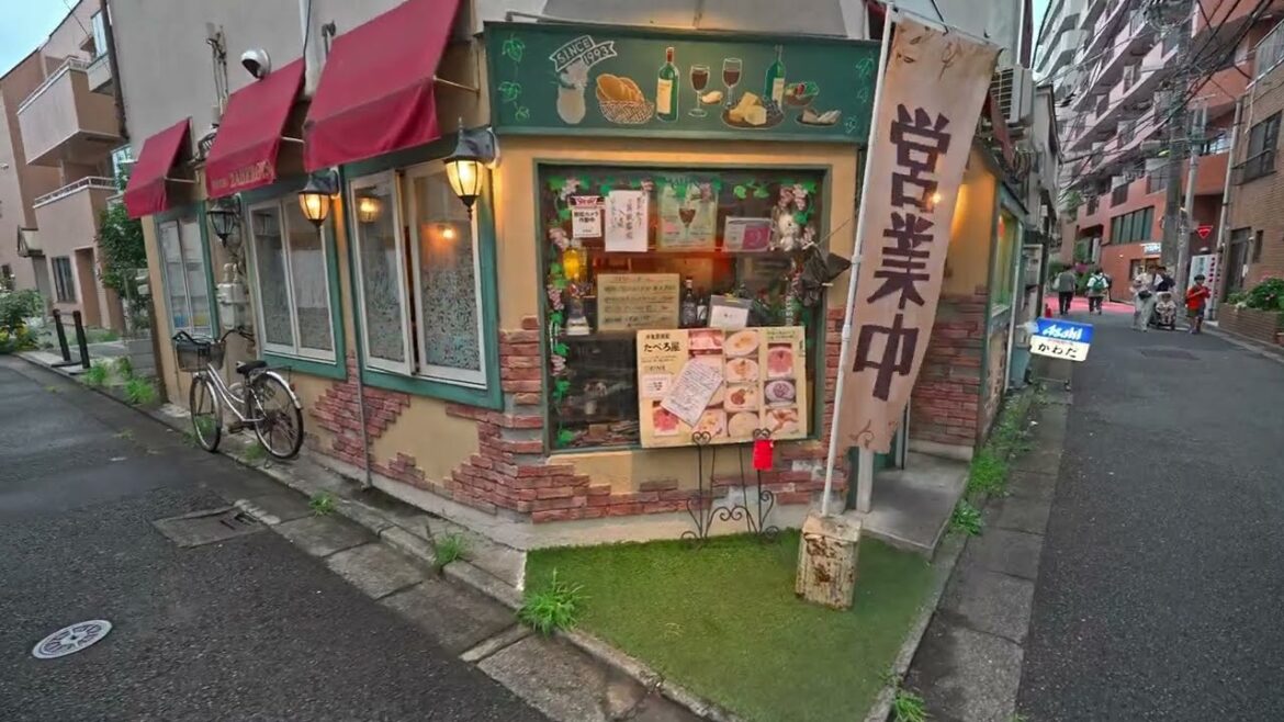 Evening Tokyo, Setagaya on the way to Fireflies festival・4K HDR