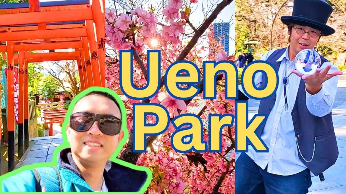 TOKYO Ueno Park Walkthrough - Japan Travel Vlog
