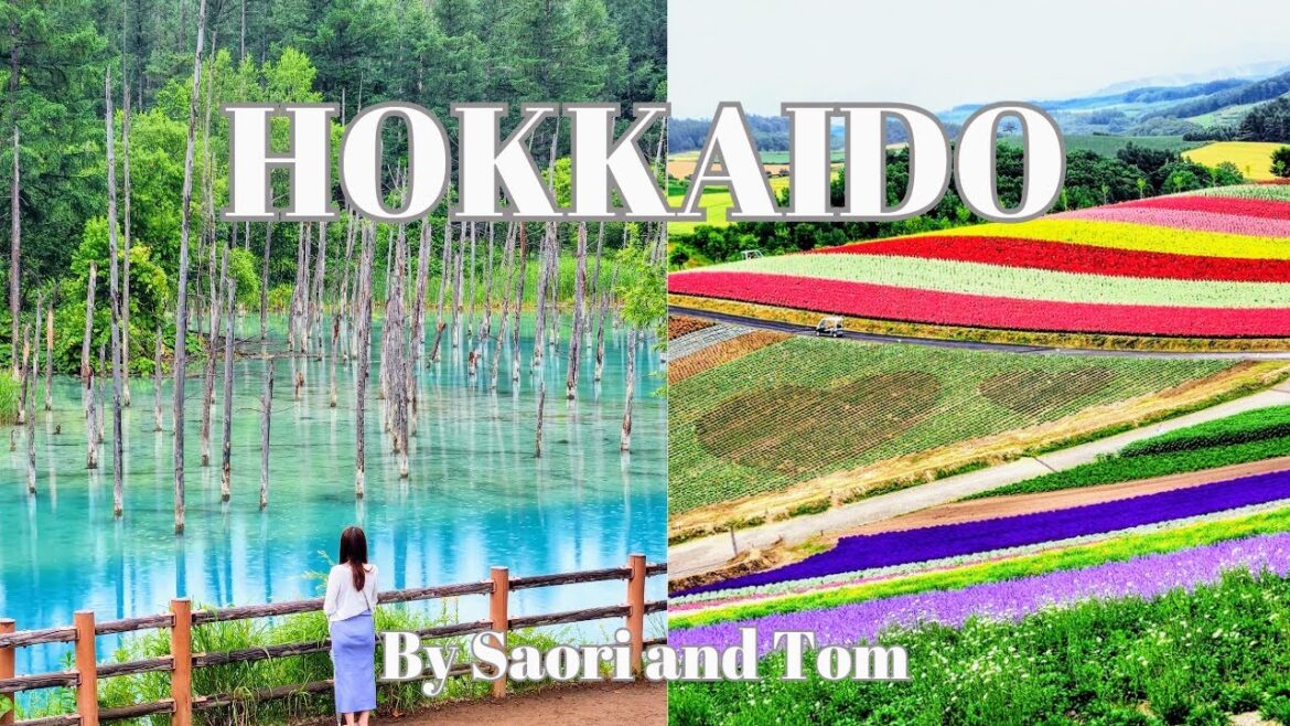 【JAPAN TRAVEL VLOG】Hokkaido, Asahikawa | Blue Pond, Flower field, Sushi