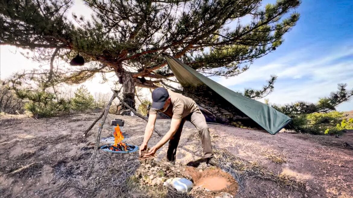 Camping and Bushcraft – Herb Gathering and Cooking – Finding Water in the Wild – Tarp Shelter Camping and Bushcraft - Herb Gathering and Cooking - Finding Water in the Wild - Tarp Shelter