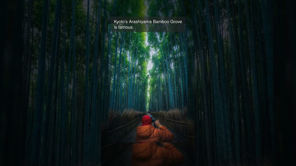 parks near Japan parks near Japan