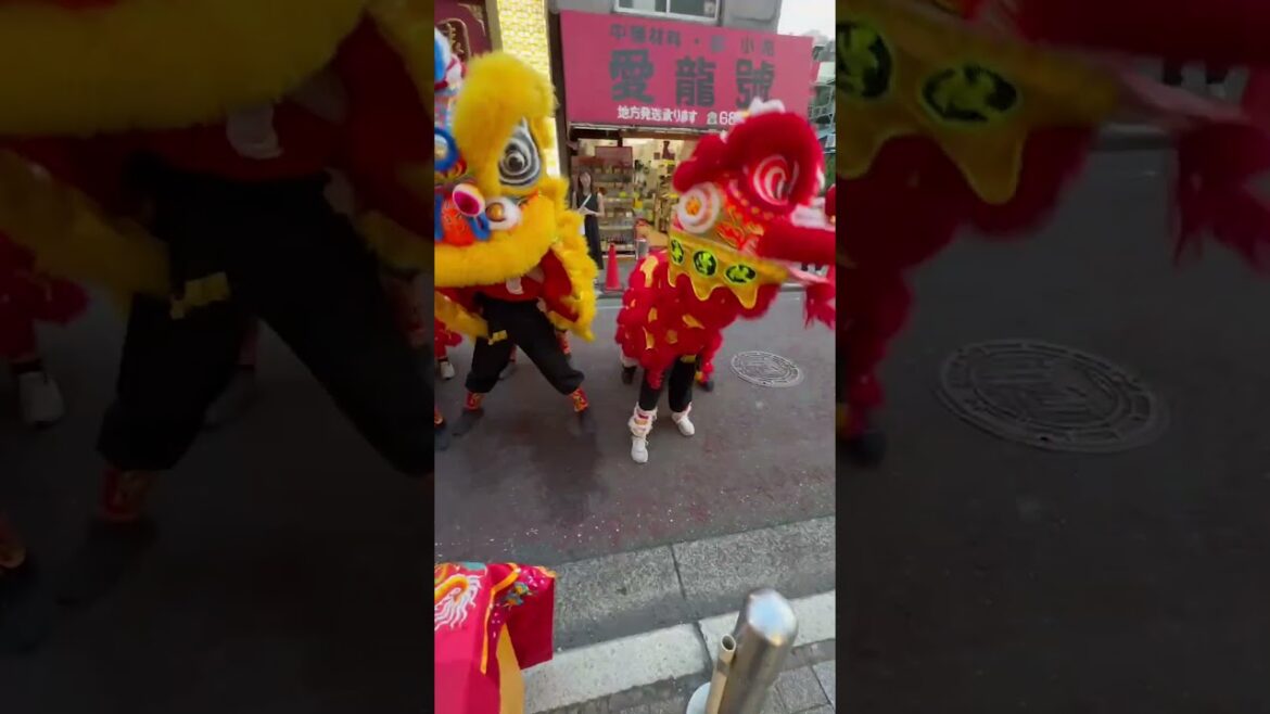 【60秒厄除け】獅子舞セレクション@2024関帝誕【横浜中華街】 #shorts 【60秒厄除け】獅子舞セレクション@2024関帝誕【横浜中華街】 #shorts
