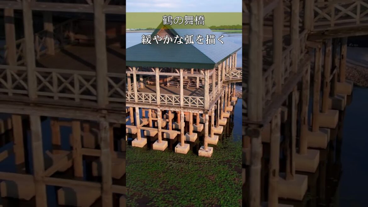 空を舞う鶴の曲線美～青森県鶴田町・鶴の舞橋～ #shorts #1min #青森 #鶴の舞橋 #bridge #ドローン #drone