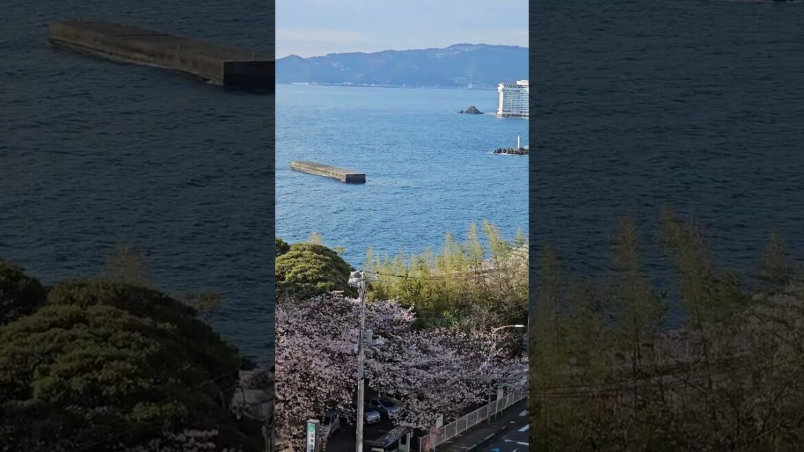 Shizuoka Atami Sea Wave Sagami(일본여행 시즈오카 아타미 바다 파도 사가미만/静岡 熱海 海 波 相模湾)